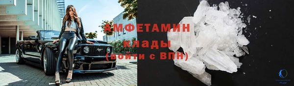 трава Пересвет