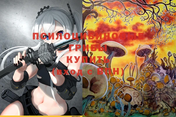 бутират Переславль-Залесский