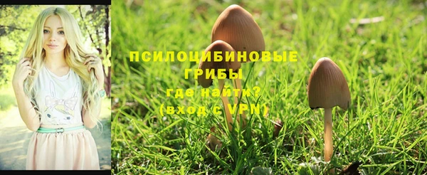 трава Пересвет