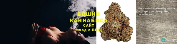 трава Пересвет